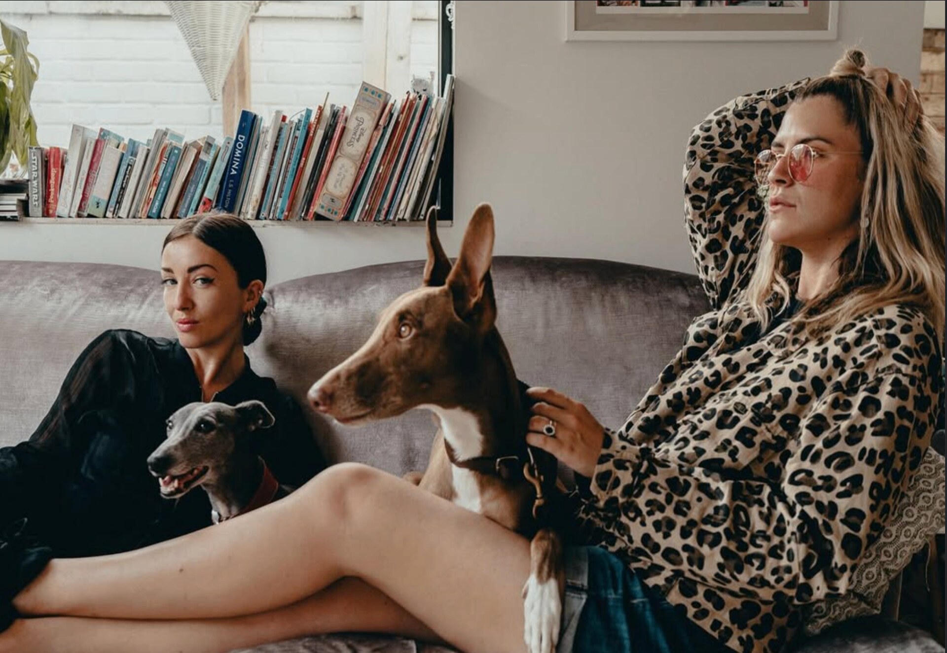 Lifestyle portrait of two women with dogs on a sofa